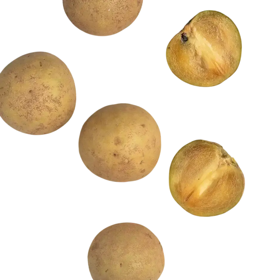Chikoo (800 - 1000 g)