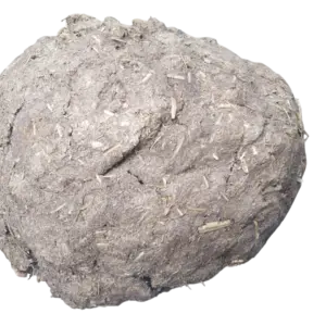 Pure Desi Cow (pack of 10)